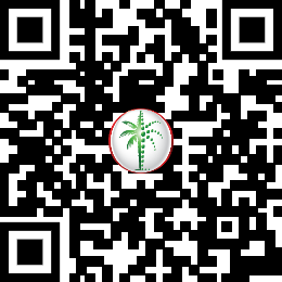 01JTTN13T15HT7DXKFP843FM90